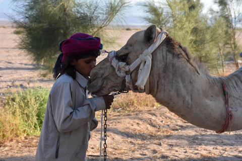 Hurghada: Camel Ride & horse ride and Off-Road Jeep Tour pickup from hotels inside hurghada