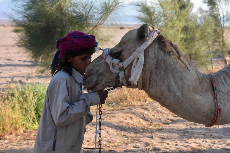 Hurghada: Camel Ride & horse ride and Off-Road Jeep Tour pickup from hotels inside hurghada