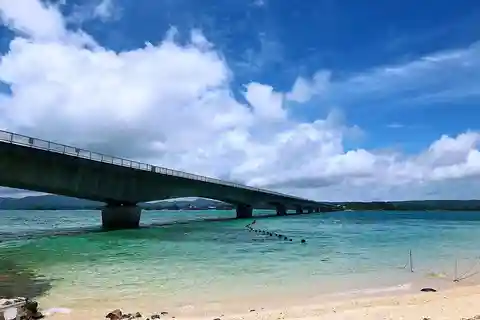 Okinawa: Must-Visit Coastal Spots Private Day Tour