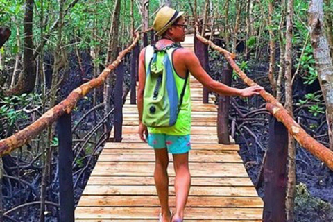 桑给巴尔监狱岛、乔扎尼森林与香料农场之旅私人导游服务，不包含酒店接送。