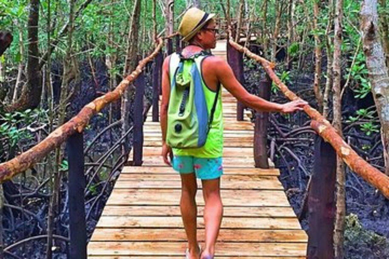 桑给巴尔监狱岛、乔扎尼森林与香料农场之旅私人导游服务，不包含酒店接送。