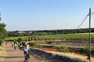 Locorotondo: Geführte E-Bike-Tour nach Alberobello + Gelato