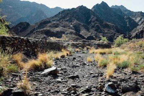 Wadi Dayqah/Wadi Al Arbaeen/Wadi Mayh (excursión de un día) 8 horas