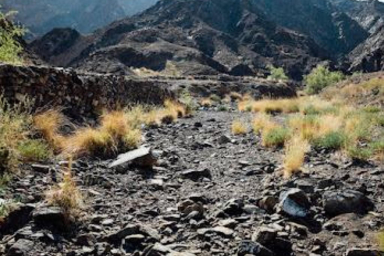 Wadi Dayqah/Wadi Al Arbaeen/Wadi Mayh (excursión de un día) 8 horas