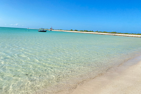 Rio Lagartos et Las Coloradas : EcoSafari Flamingo DeluxRio Lagartos et Las Coloradas : EcoSafari Flamingo Deluxe