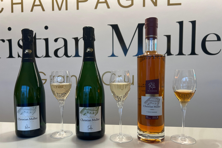 Reims: Vineyard tour and tasting of Grands Crus champagnes Reims: Visit the vineyards and taste Grands Crus Champagne
