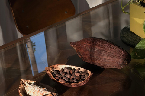 El Nido: Cacao Tasting and Chocolate Experience