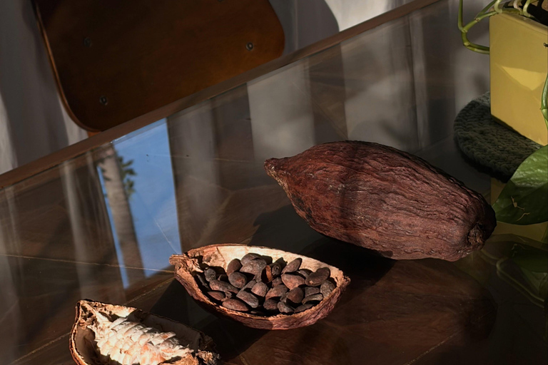 El Nido: Cacao Tasting and Chocolate Experience