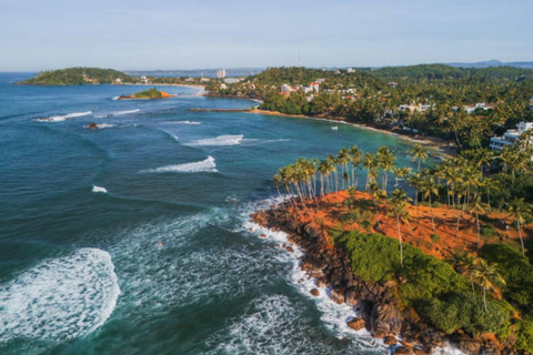 Mirissa Day Tour with Dolphins, Turtles & Beach Time Pick up from Colombo or Negombo City