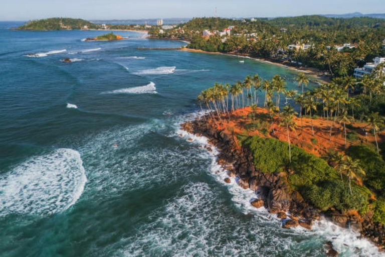 Mirissa Day Tour with Dolphins, Turtles & Beach Time Pick up from Colombo or Negombo City