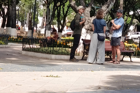 Sucre Walking Tour: Discover the Magic of Bolivia’s White City