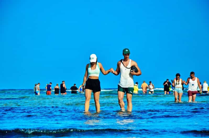 From Sal Island: Blue Eye, Salt Lake, Lemon Sharks, Palmeira