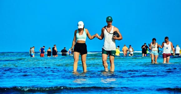 From Sal Island: Blue Eye, Salt Lake, Lemon Sharks, Palmeira