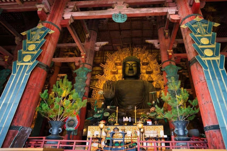 Tokyo: Kyoto & Nara Private Tour with Hotel Pickup