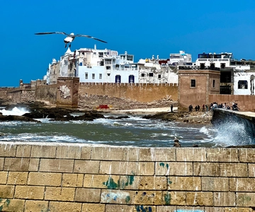 De Marraquexe: Viagem de 1 dia à cidade e ao mar de Essaouira