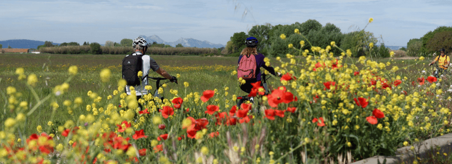 Aix-en-Provence: Tour Nature en Vélo Électrique