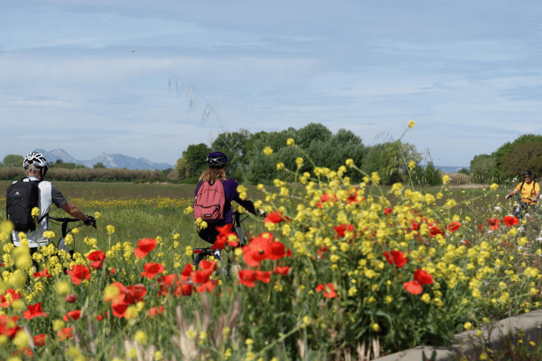Aix-en-Provence: Nature Tour by Electric Bike Nature Tour by Electric Bike along the Durance