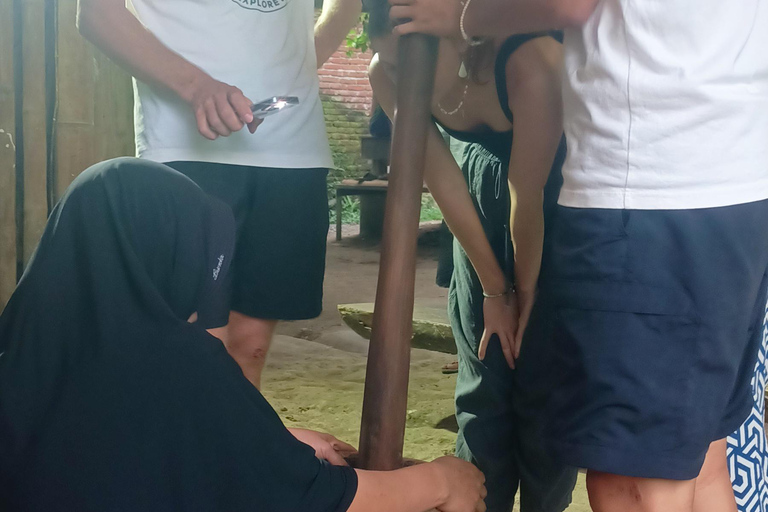 特特巴图：瀑布、香料、梯田、猴子森林特特巴图之旅、香料、瀑布、梯田、猴林