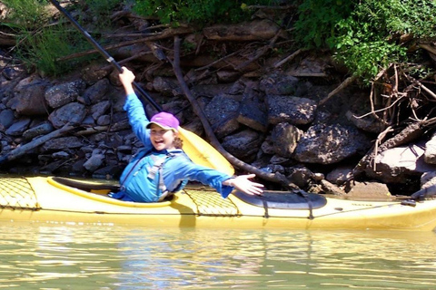 Full-Day Buffalo Bayou Kayaking Tour