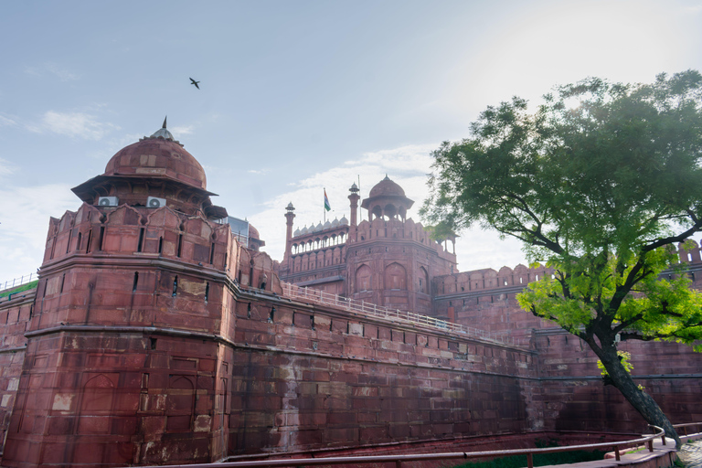 Delhi : Visite de 8 heures de l'ancienne et de la nouvelle Delhi sans problème