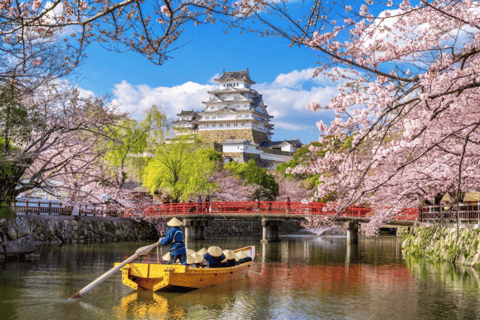 One Day, Two Cities: Unveiling the Wonders of Osaka & Kyoto