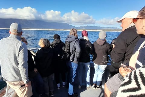 Cape Town: Hermanus Whale Watching Sunset Cruise & Lunch