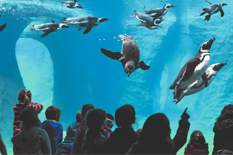 From Kraków: Private Tour to Wrocław with a personal driver