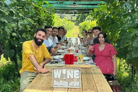 Tasting in a Tuscan Vineyard with transfer from Lucca