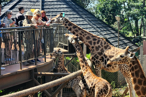 Nairobi: Elefantenwaisenhaus und Giraffenzentrum Tour