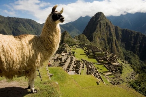 Desde Ollantaytambo: Excursión de 2 días a Machu PicchuExcursión de 2 días a Machu Picchu