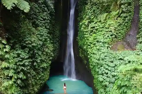 Bali: Private Sightseeing Trip North Bali Tour With Transfer