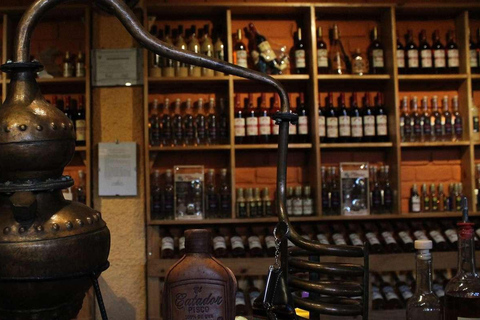 Depuis Ica : Visite des vignobles de vin et de pisco, visite partagée