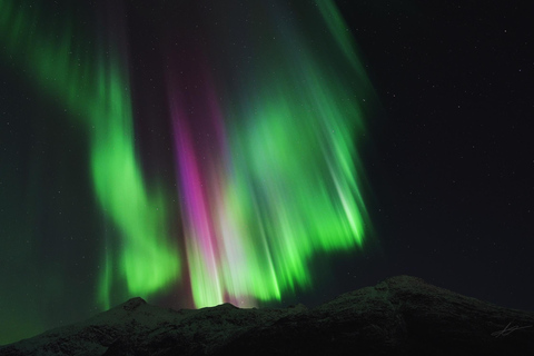 Tromsø : Visite guidée des aurores boréales avec un guide régional