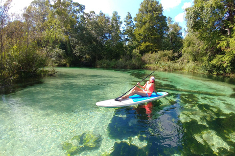Miami: Biscayne Bay Ultimate Boat Tour with Kayak Experience
