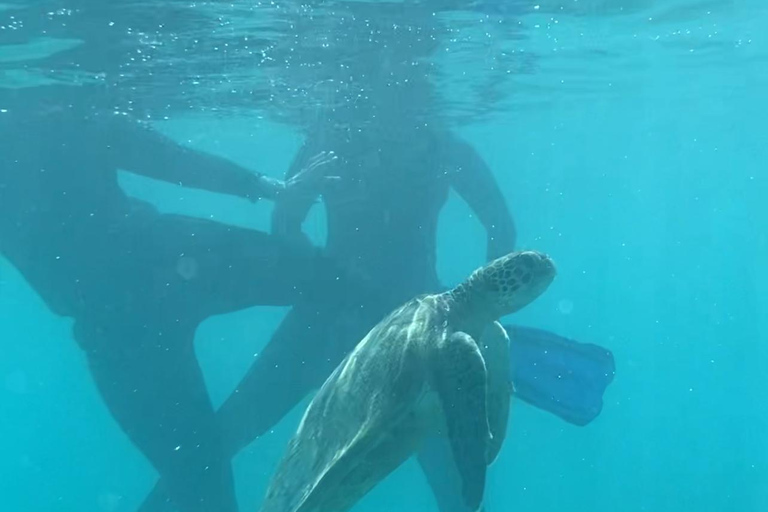 Mascate: Excursión de snorkel por las Islas Daymaniyat con refrescosMascate: Experiencia de bienestar Daymaniyat (puesta de sol)