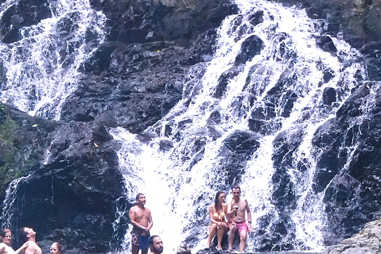 Explora el Corazón de la Selva: Tradición y Naturaleza Emberá