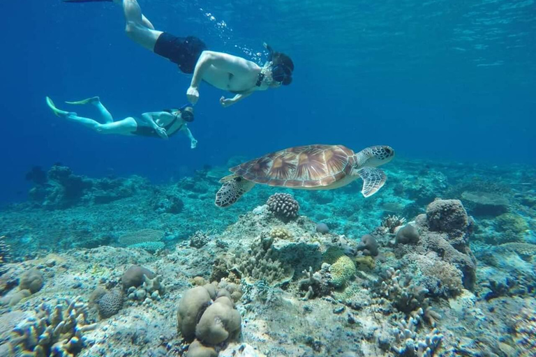 Lombok: Gili Islands Glass Bottom Boat Tour with Snorkeling