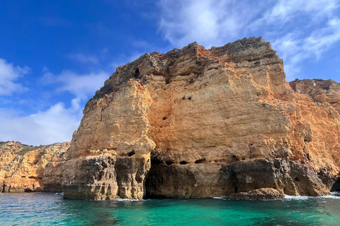 De Portimão : Observation des dauphins et du littoral de Lagos avec un biologiste