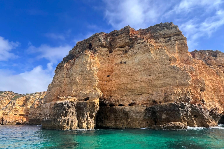 De Portimão : Observation des dauphins et du littoral de Lagos avec un biologiste