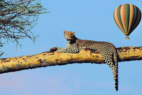 Indimenticabile safari in mongolfiera di 5 giorni nel Serengeti e nello Ngorongoro