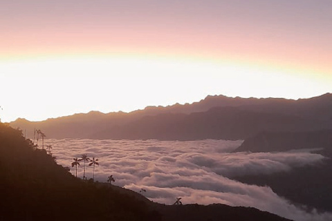 Minca: Cerro Kennedy and La Victoria Coffee Farm Tour