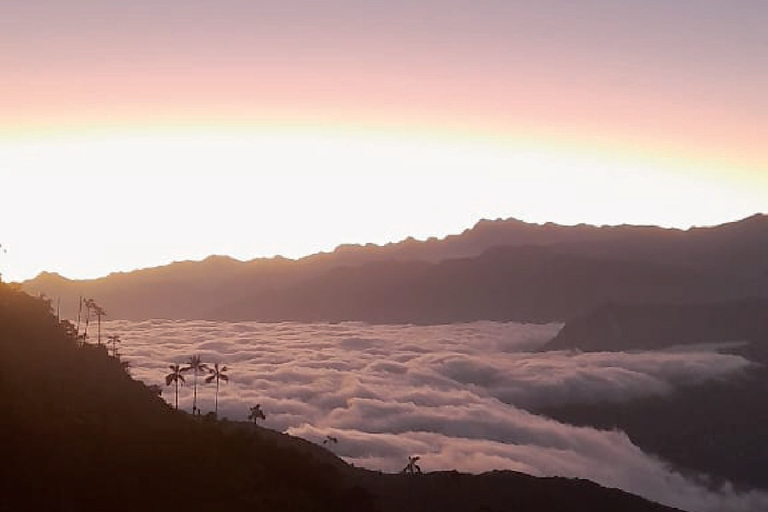 Minca: Cerro Kennedy and La Victoria Coffee Farm Tour