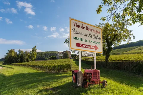 La Roche Vineuse: Besuch des Museums der Weinrebe und des Weins