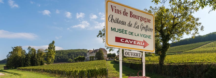 La Roche Vineuse : Visite du Musée de la Vigne et du Vin