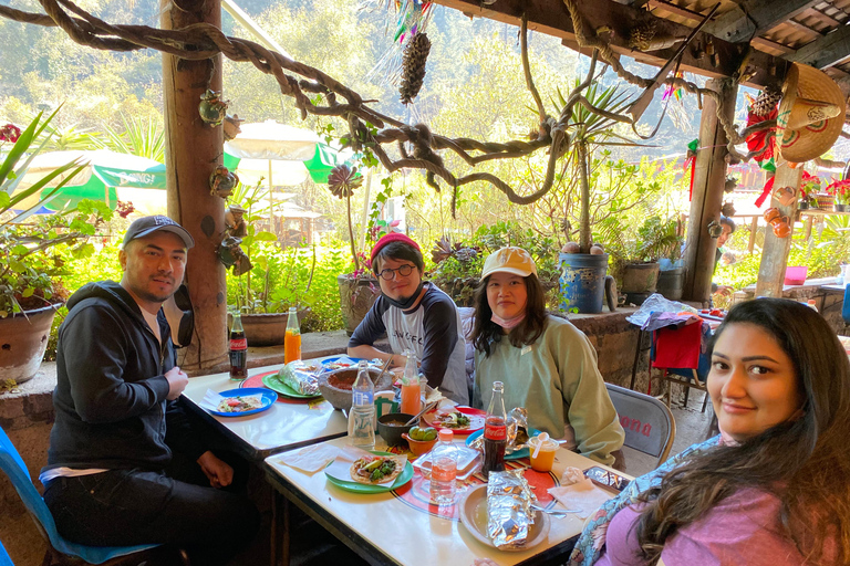 LA MEILLEURE ÉQUITATION AVEC DES COW-BOYS PROFESSIONNELS