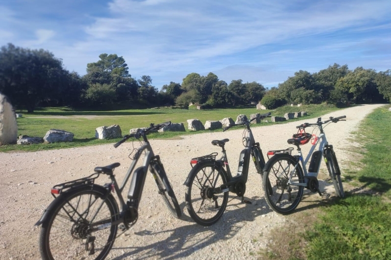 Ab Avignon: Ganztägige E-Bike-Tour im Luberon