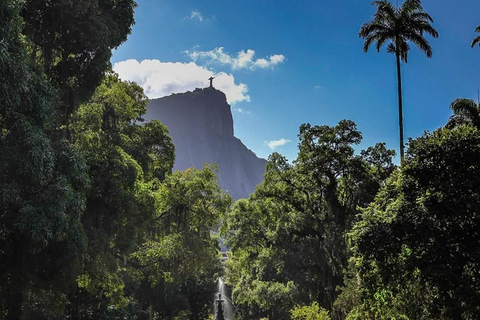 Visite guidée du jardin botanique et du parc Lage au cœur de Rio