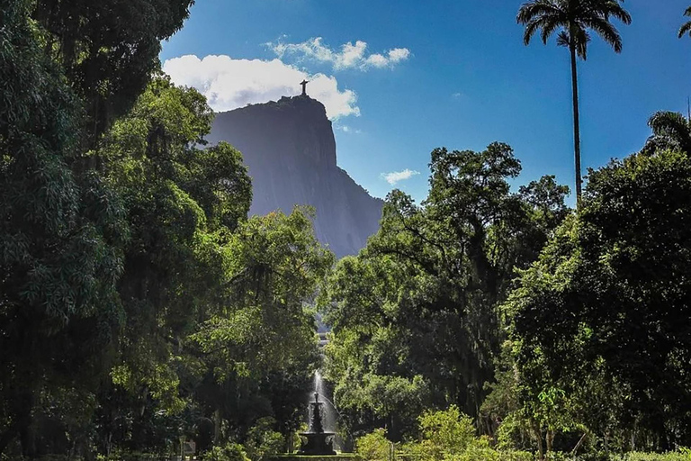 Visite guidée du jardin botanique et du parc Lage au cœur de Rio