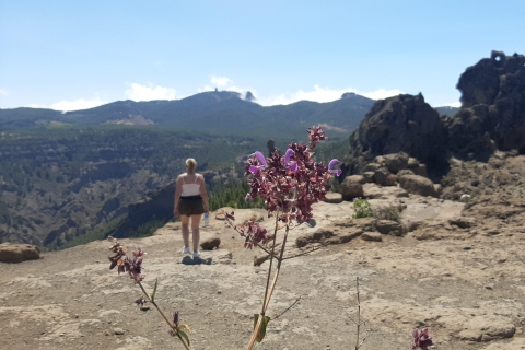 Hoogtepunten van Gran Canaria: Roque Nublo, vulkanen en tapas