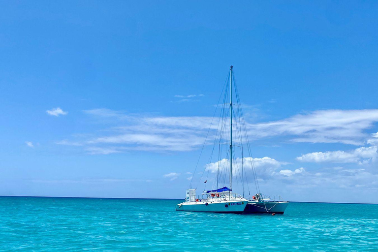 Punta Cana Saona Paradise Escape–Caribbean Island Adventure